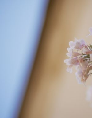 Blomster